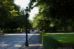 17_Bellevue_Avenue
